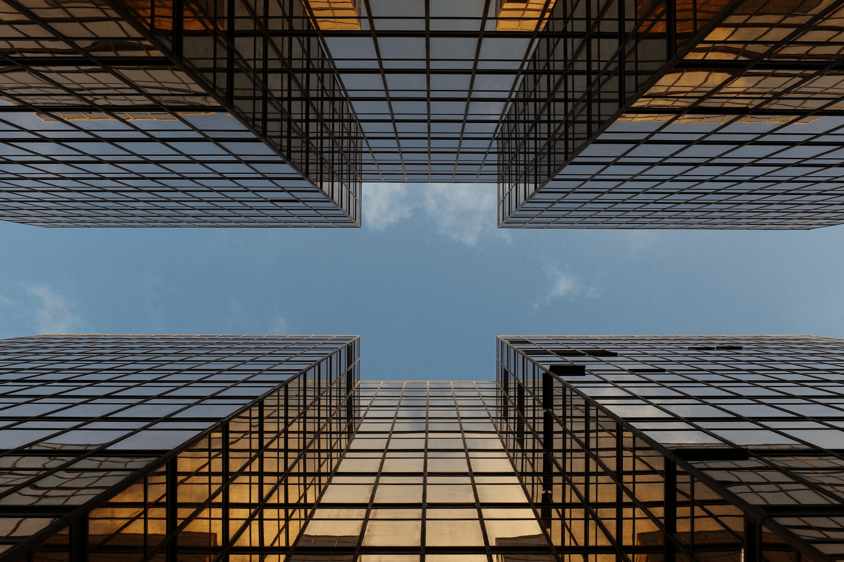 Real Estate Software